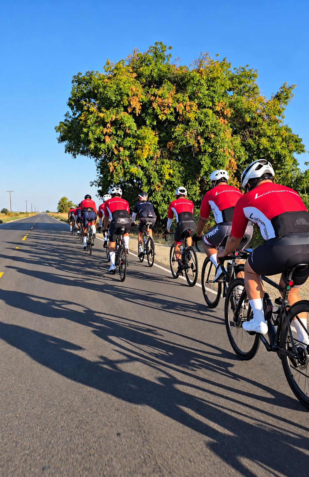 LuckWattZero riders cycling together beneath a large autumn tree on a country road